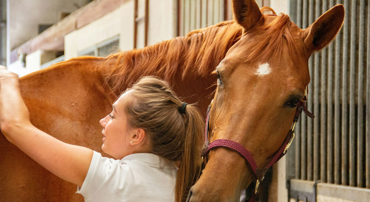 Health and Care Management