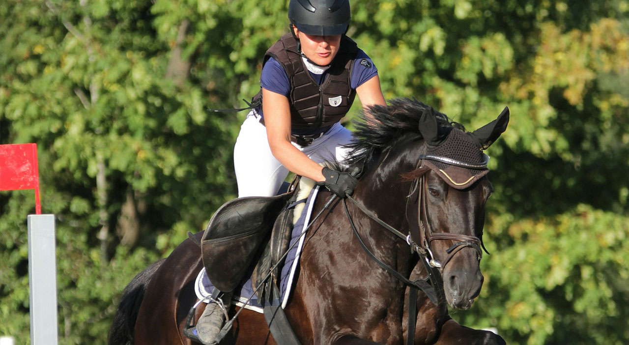 Training and Performance Tracking